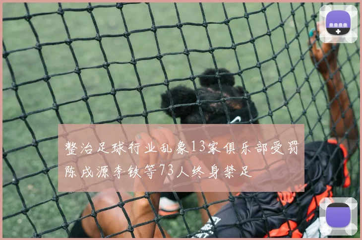 整治足球行业乱象13家俱乐部受罚陈戌源李铁等73人终身禁足